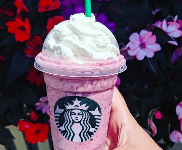boysenberry frappuccino