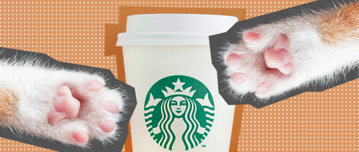 starbucks cat paw cup