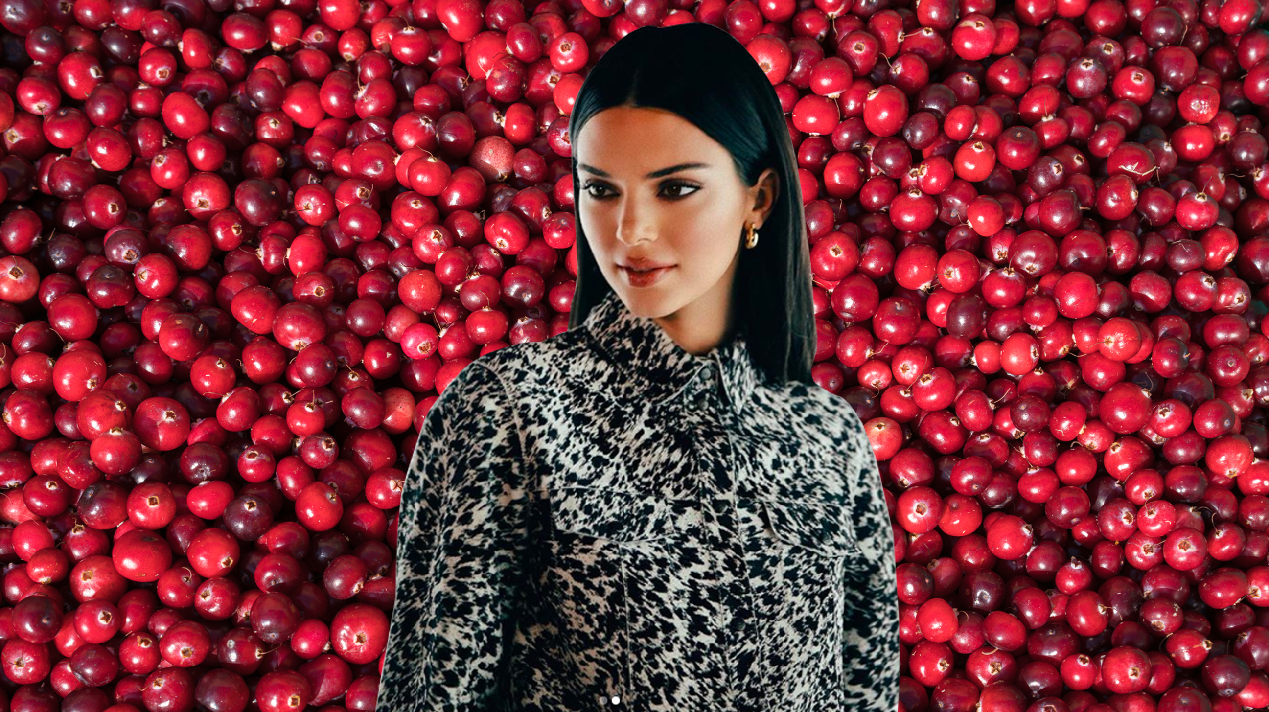 kendall jenner legs