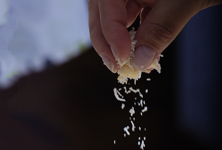 parmsan lactose
