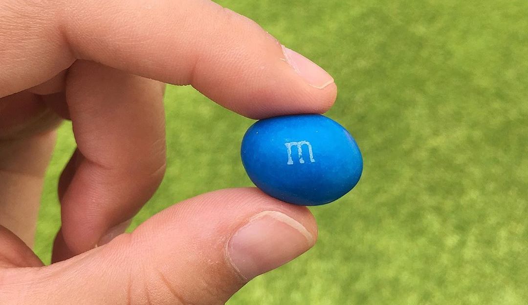 fudge brownie m&m's