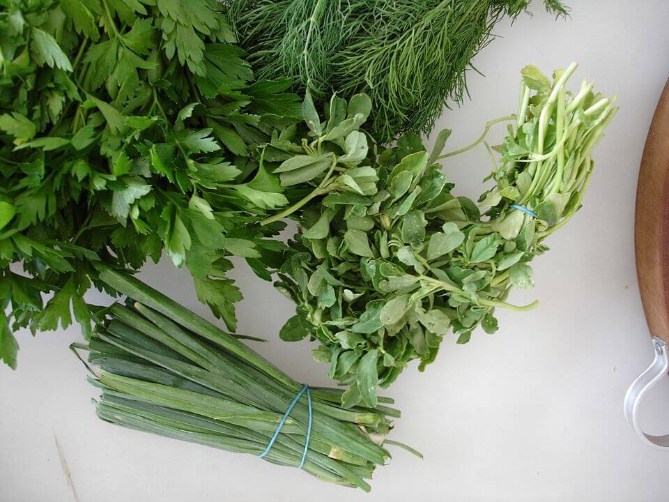 A collection of fresh green herbs, including parsley, dill, scallions, and fenugreek, is laid out on a white surface. Each bundle is tied with a rubber band, showcasing their vibrant colors and leafy textures.