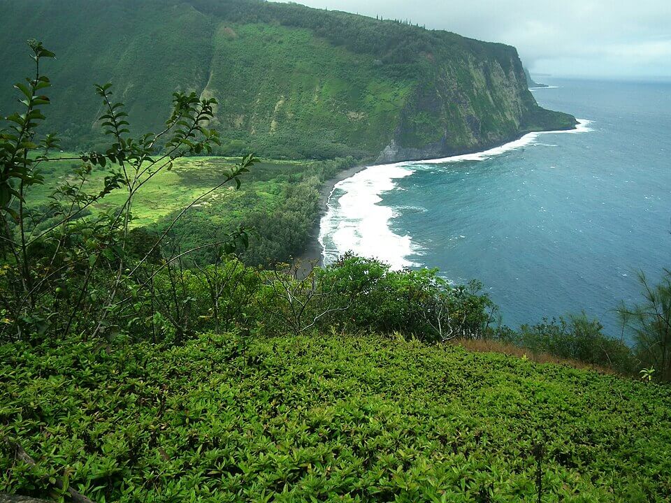 Lush green cliffs and vegetation overlook a curved coastline with white waves crashing against the black sand beach. The ocean water is a mix of turquoise and deep blue, and the scene is partially shrouded in mist under a cloudy sky.