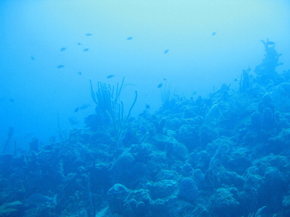 bottom of the ocean